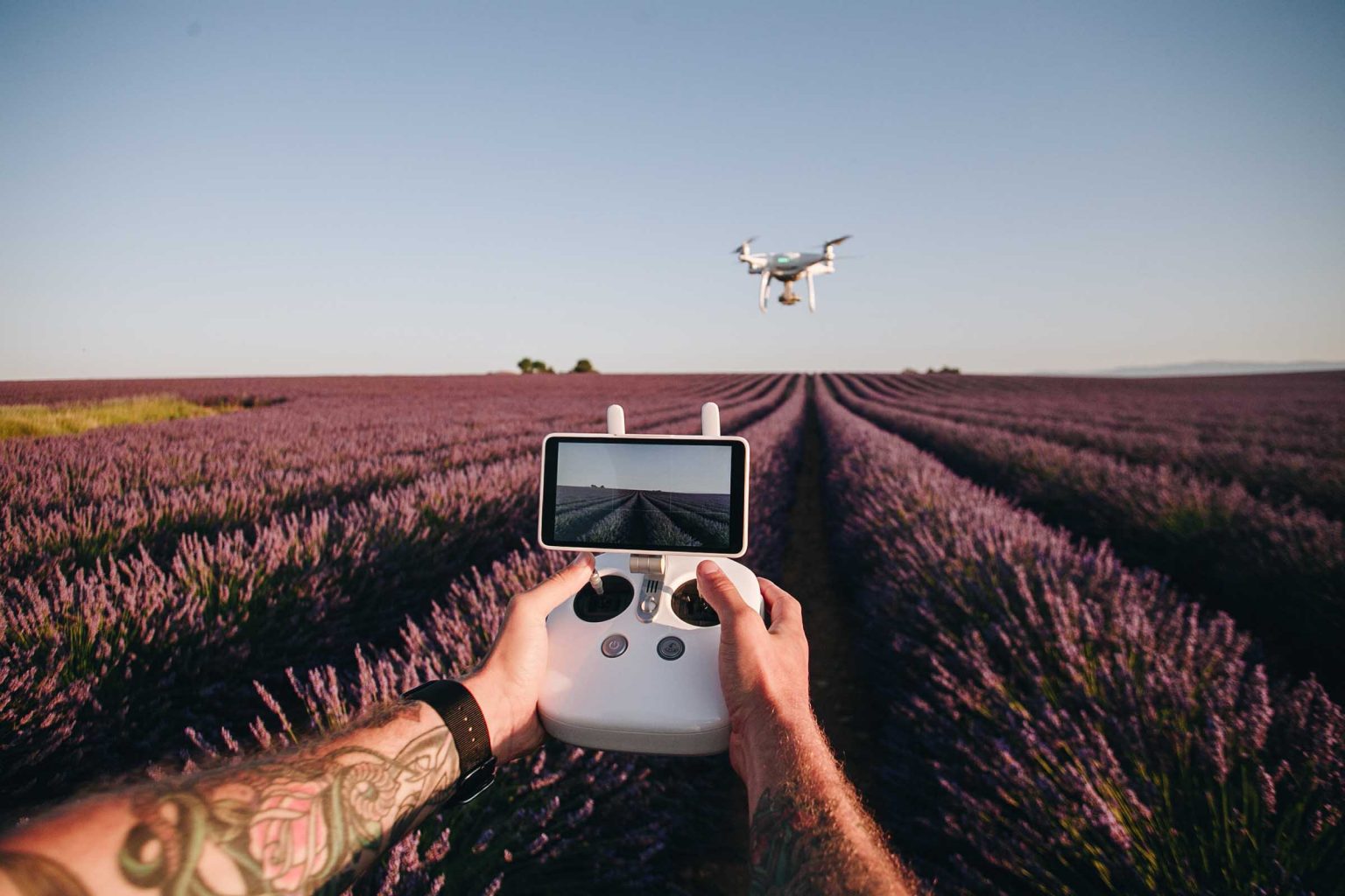 man-control-drone-with-remote-in-flower-field-UKJHN78.jpg